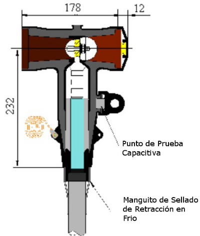 WABT1